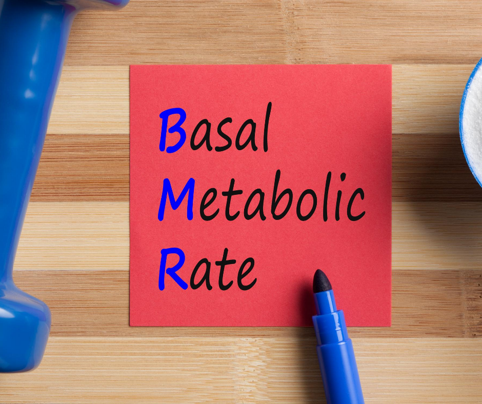 You are currently viewing What is BMR (Basal Metabolic Rate)? And why is EMS so good for it?